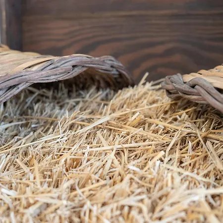 Over Time - Tourist 3*