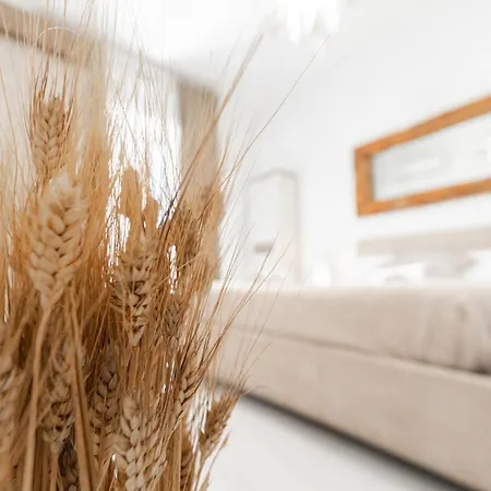 Over Time - Tourist Penzion 3*