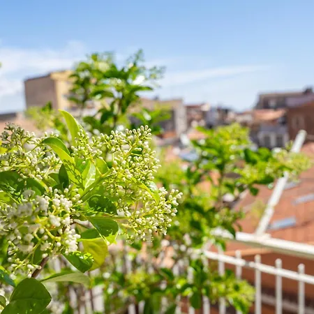 Over Time - Tourist Penzion 3*