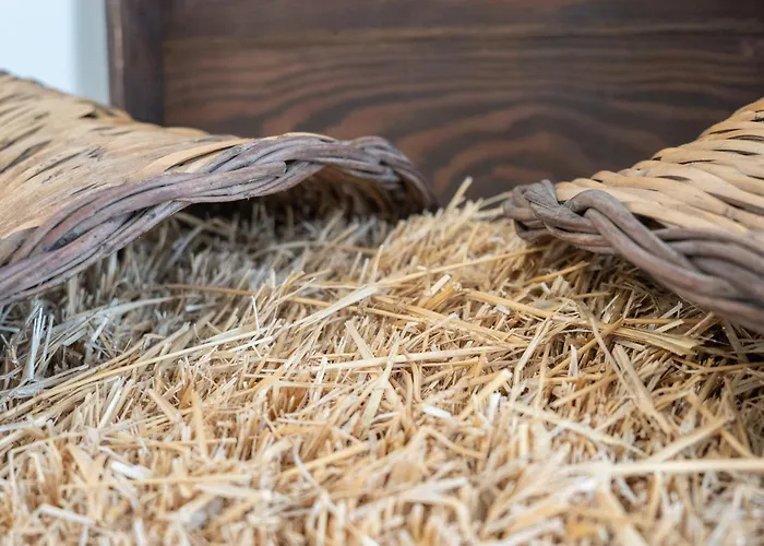 Over Time - Tourist 3*