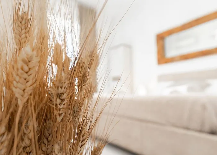 Over Time - Tourist بيت ضيافة 3*