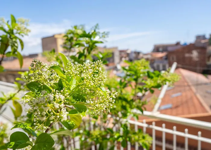 Over Time - Tourist بيت ضيافة 3*